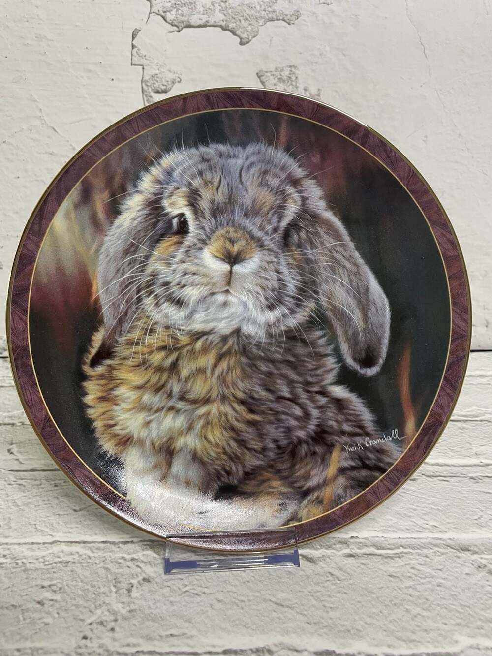 The Bradford Exchange Bunny Tales I'm All Ears Collector Plate by Vivi Crandall